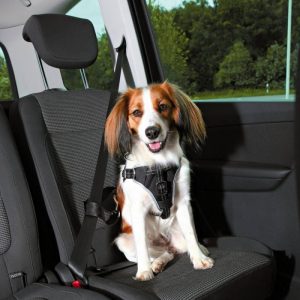 Trixie veiligheidsharnas auto Dog Protect