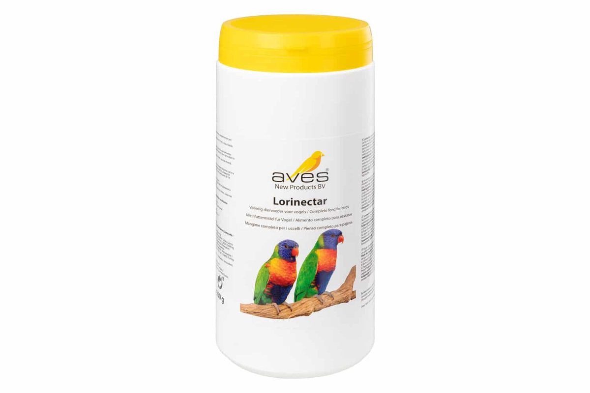 Aves Lorinectar - Afbeelding 2
